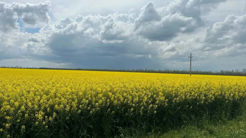 Фото квартиры 24