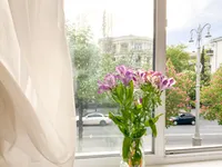 Миниатюра квартиры 12