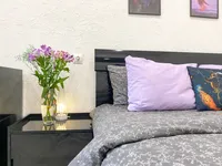 Миниатюра квартиры 24