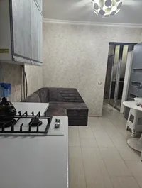Миниатюра квартиры 13