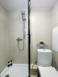 Миниатюра квартиры 29