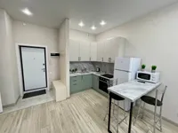 Миниатюра квартиры 9