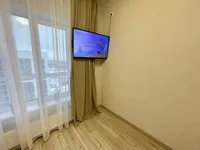 Миниатюра квартиры 12