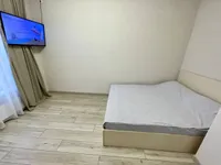 Миниатюра квартиры 24