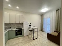 Миниатюра квартиры 1