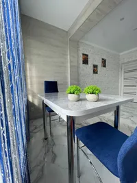 Миниатюра квартиры 29