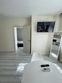 Миниатюра квартиры 5