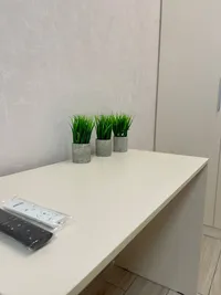 Миниатюра квартиры 16