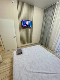 Миниатюра квартиры 26