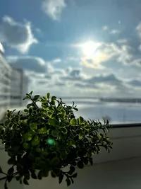 Миниатюра квартиры 39