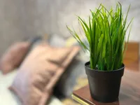 Миниатюра квартиры 13