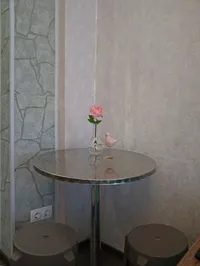 Миниатюра квартиры 16