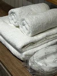 Миниатюра квартиры 31