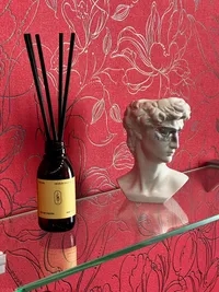 Миниатюра квартиры 10