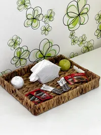 Миниатюра квартиры 10