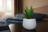 Миниатюра квартиры 11