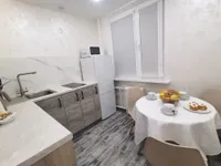 Миниатюра квартиры 5