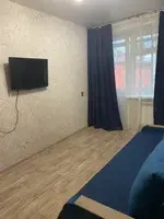 Миниатюра квартиры 11