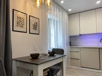 Миниатюра квартиры 16