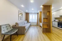 Миниатюра квартиры 5