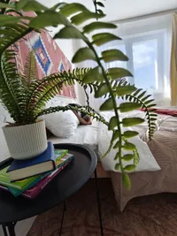 Миниатюра квартиры 12