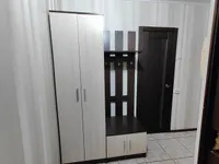 Миниатюра квартиры 11