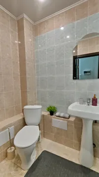 Миниатюра квартиры 16