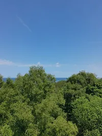 Миниатюра квартиры 11