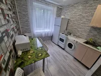 Миниатюра квартиры 4