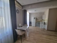 Миниатюра квартиры 3