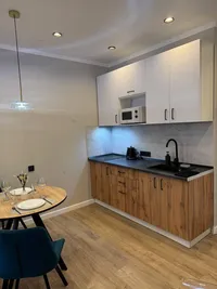 Миниатюра квартиры 12