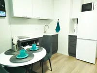 Миниатюра квартиры 17