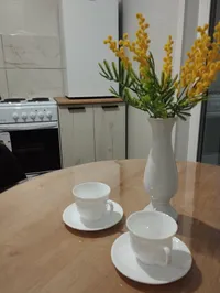 Миниатюра квартиры 11