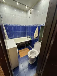 Миниатюра квартиры 12