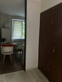 Миниатюра квартиры 11