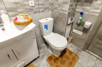 Миниатюра квартиры 33