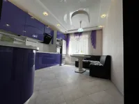 Миниатюра квартиры 2