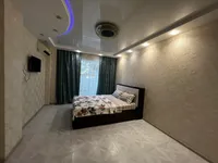 Миниатюра квартиры 18