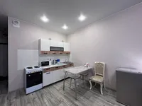 Миниатюра квартиры 10