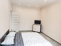 Миниатюра квартиры 2