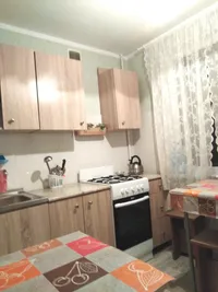 Миниатюра квартиры 9