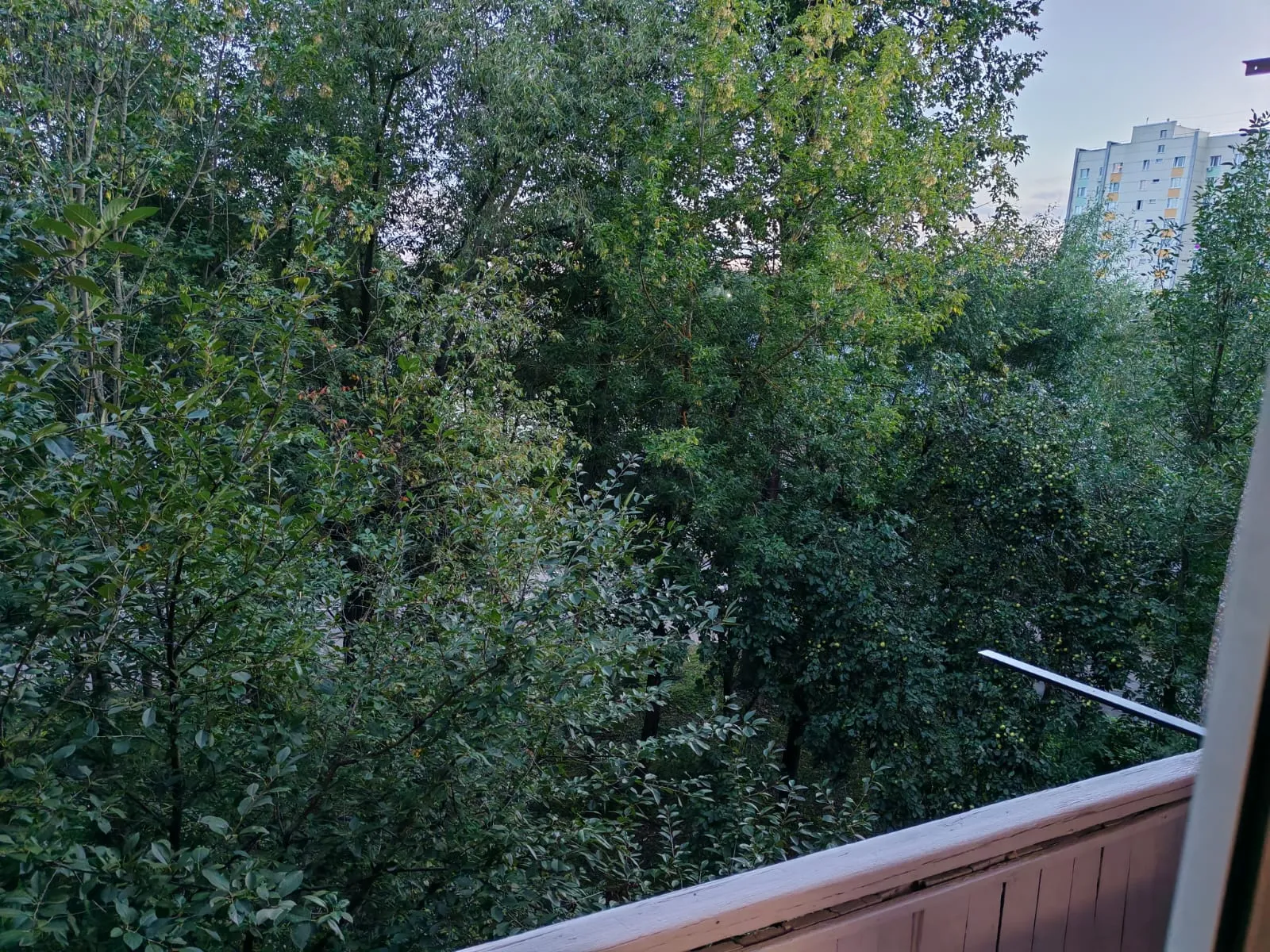 Миниатюра квартиры 17