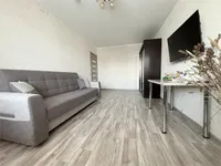 Миниатюра квартиры 9