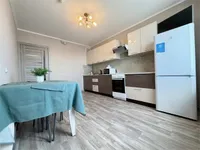 Миниатюра квартиры 15