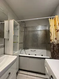 Миниатюра квартиры 12