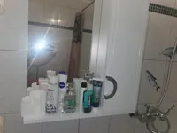 Миниатюра квартиры 9