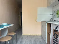 Миниатюра квартиры 13