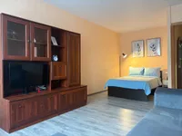 Миниатюра квартиры 15