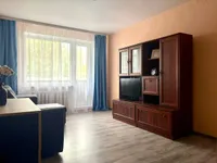 Миниатюра квартиры 19