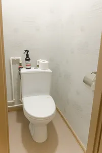 Миниатюра квартиры 20